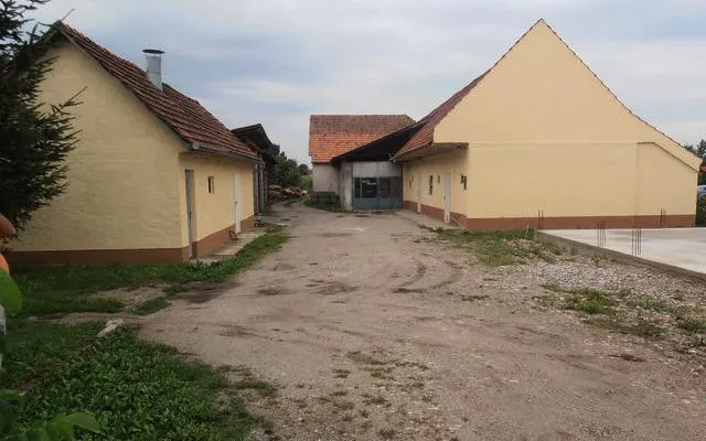 Коммерческая недвижимость в Птуй