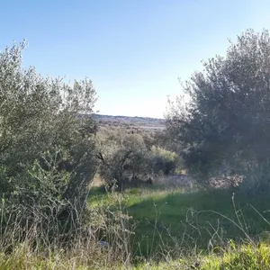 Земельный участок в Corfu, фото 5