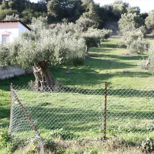 Земельный участок в Kassandra Municipality, фото 3