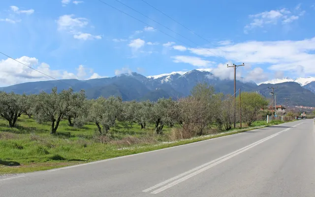 Земельный участок в Лептокария