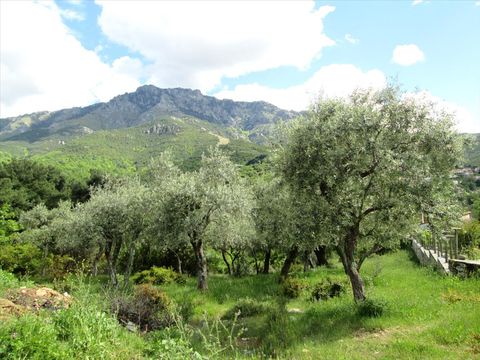 Земельный участок в Тасос