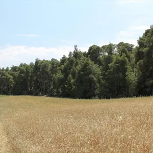Земельный участок в Kassandra Municipality, фото 2