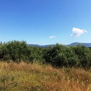 Земельный участок в Corfu, фото 4