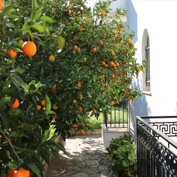 Отдельный дом в Loutraki - Perachora, фото 1