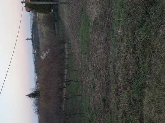 Земельный участок в Хевиз