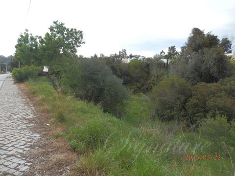 Земельный участок в Карвоейро