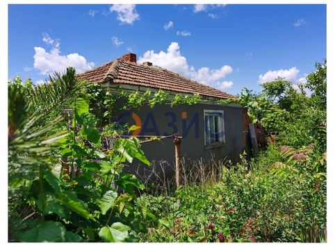 Дом в Порой