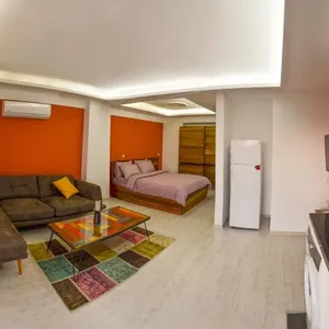 Студия в Искеле, фото 5