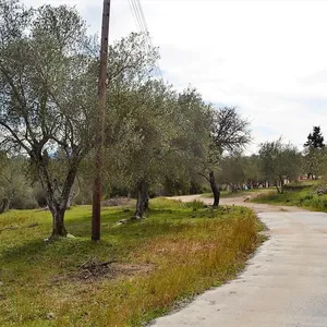 Земельный участок в Corfu, фото 2