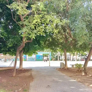 Студия в Торревьеха, фото 3