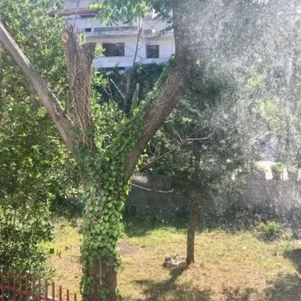 Отель в Сутоморе, фото 1