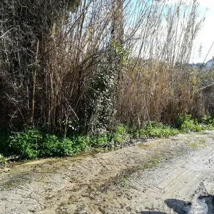 Земельный участок в Corfu, фото 3