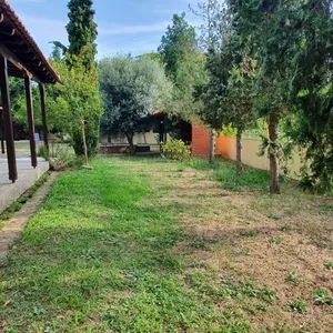 Отдельный дом в Kassandra Municipality, фото 2