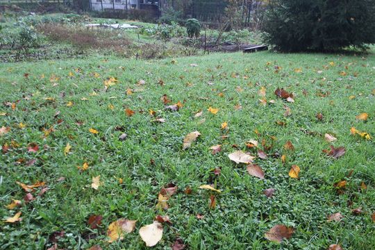 Земельный участок в Центр