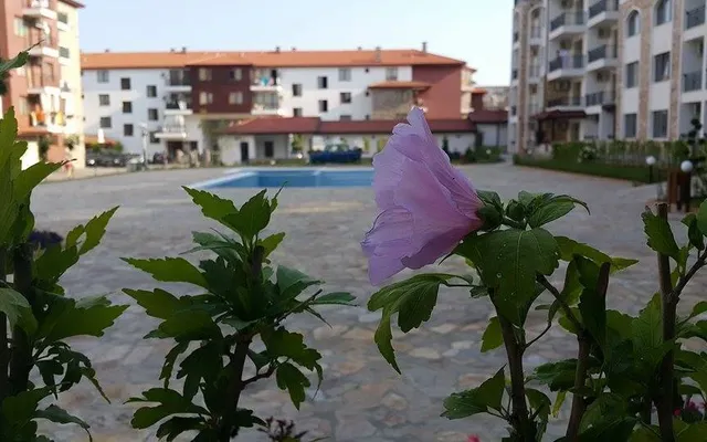 Студия в Равда