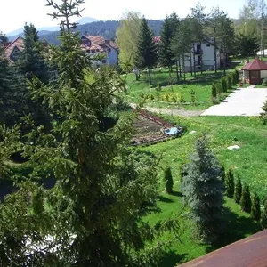 Студия в Златибор, фото 2