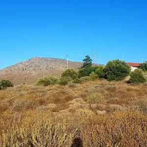 Земельный участок в Гувес, фото 4