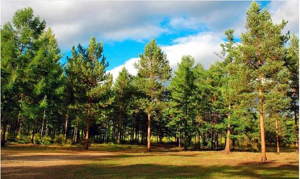 Земельный участок в Бодрум