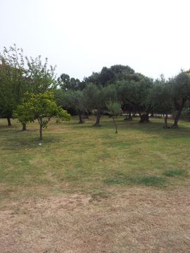 Земельный участок в Премантура