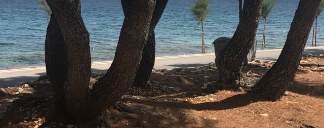 Земельный участок в Сутиван