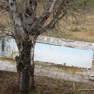 Коммерческая недвижимость в Салоники, фото 2