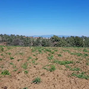 Земельный участок в Kassandra Municipality, фото 4