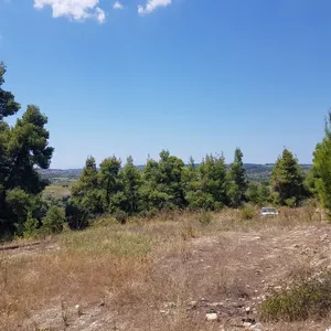 Земельный участок в Kassandra Municipality, фото 5