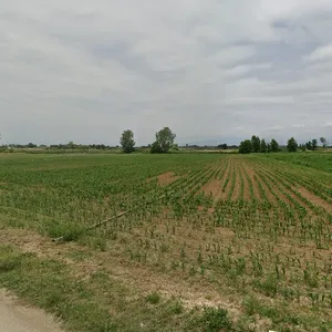 Земельный участок в Нигрита, фото 2