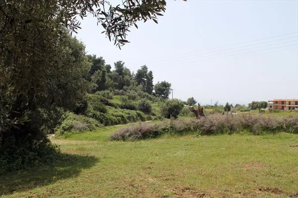 Земельный участок в Kassandra Municipality