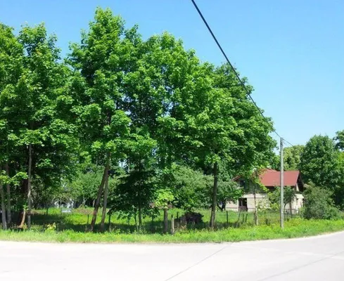 Инвестиции в Старая Рига