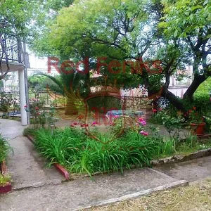 Дом в Сутоморе, фото 5