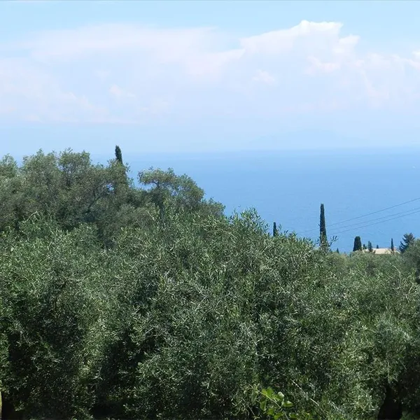 Земельный участок в Corfu, фото 1