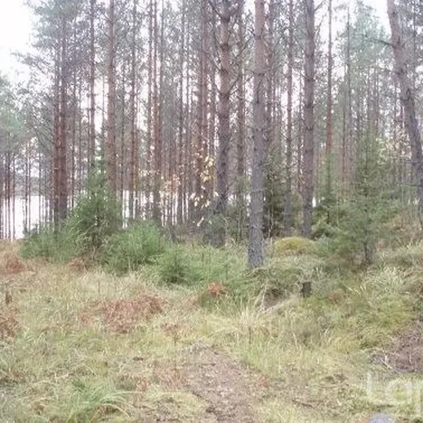 Земельный участок в Пуумала, фото 1