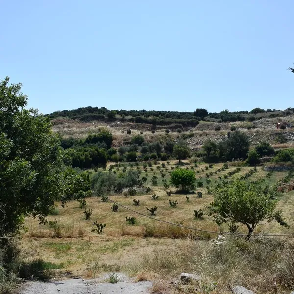 Земельный участок в Ancient Lappa, фото 1