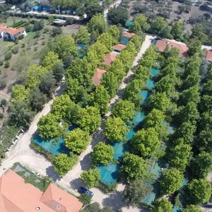 Земельный участок в Aristotle University of Thessaloniki, фото 5