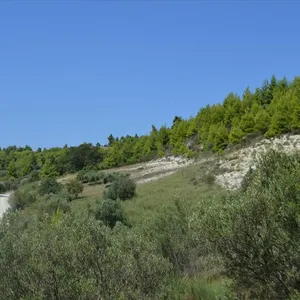 Земельный участок в Kassandra Municipality, фото 4