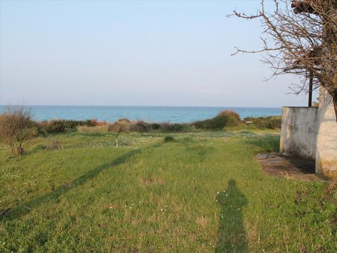 Земельный участок в Каллифея (Кассандра)