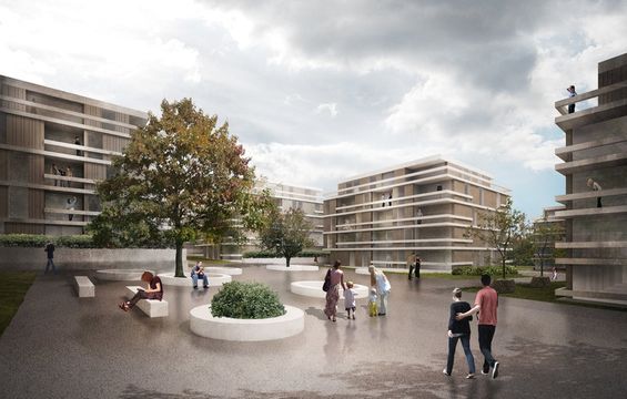 Земельный участок в Шишка