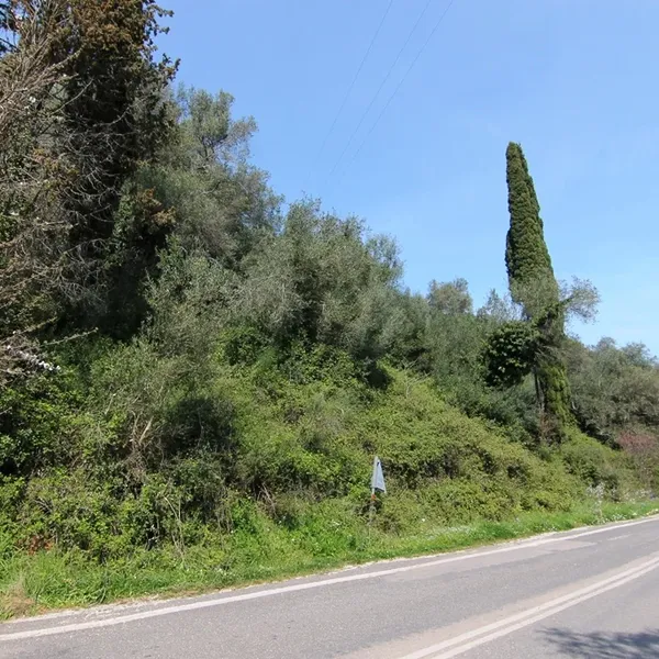 Земельный участок в Corfu, фото 1