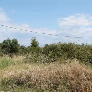 Земельный участок в Kassandra Municipality, фото 3
