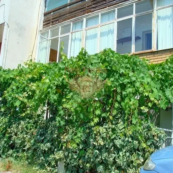 Квартира в Будва, фото 1