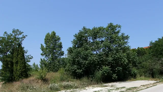 Земельный участок в Черсегтомай