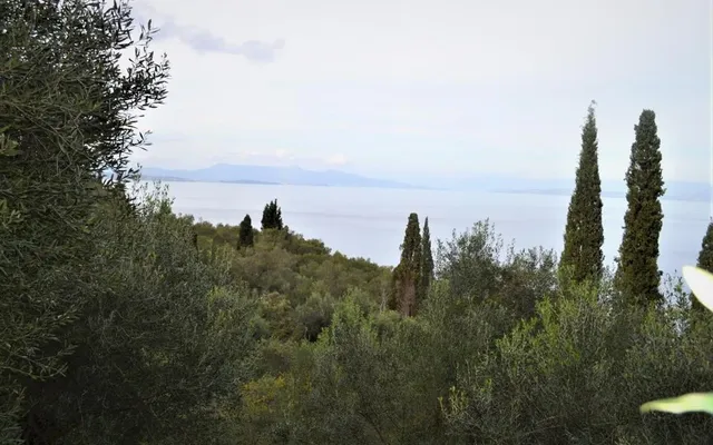 Земельный участок в Corfu