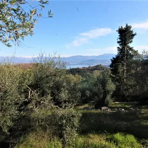 Земельный участок в Corfu, фото 5