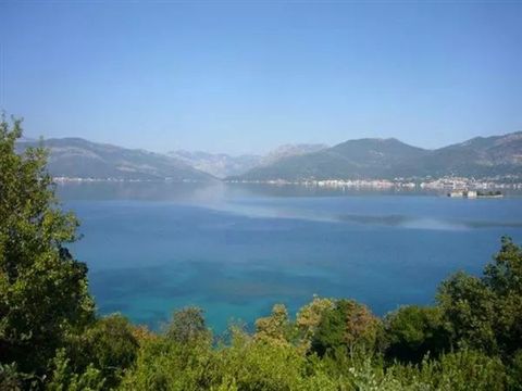 Земельный участок в Богиши