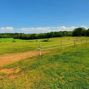 Дом в Nouvelle-Aquitaine, фото 5