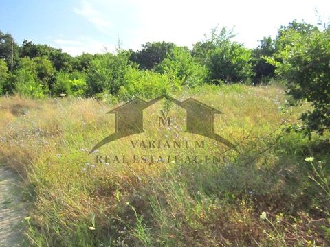 Земельный участок в Варна
