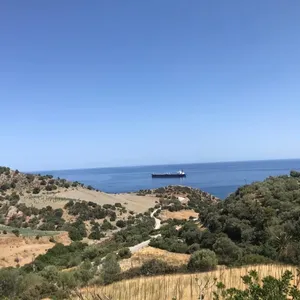 Земельный участок в MOIRES, фото 5