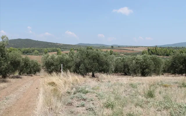 Земельный участок в Полийирос