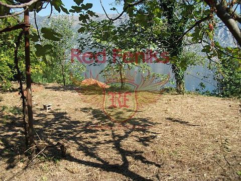 Земельный участок в Прчань